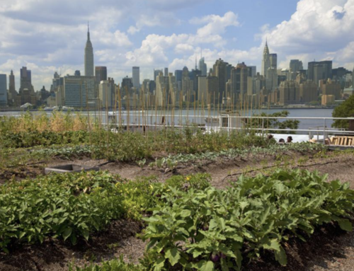 How New York City Is Revolutionizing Good Food Policy
