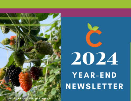 2024 Year-End Newsletter: Reflecting at a time of transition