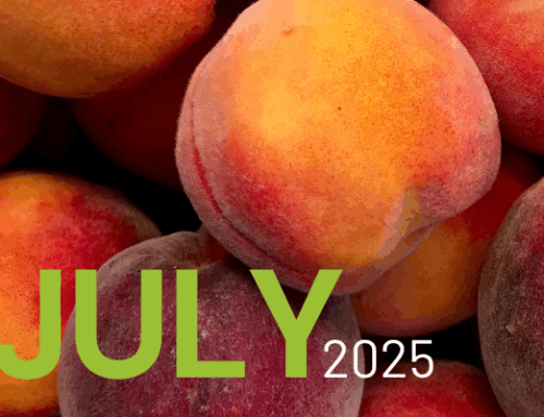 July 2025 Newsletter