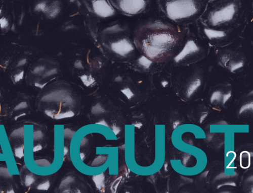 August 2025 Newsletter
