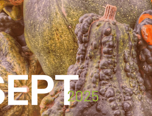 September 2025 Newsletter