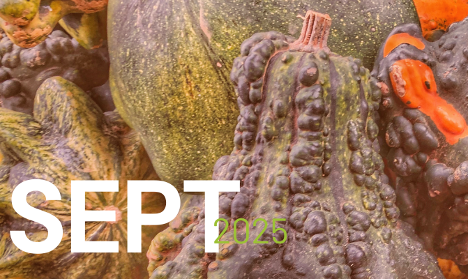 Gourds with SEPT 2025 written in white and green text