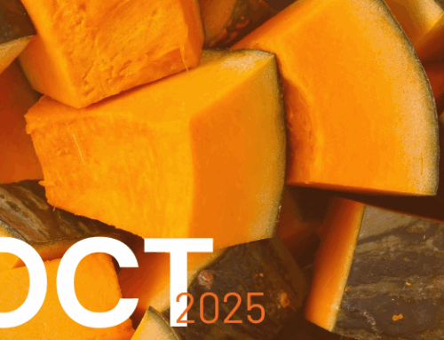 October 2025 Newsletter