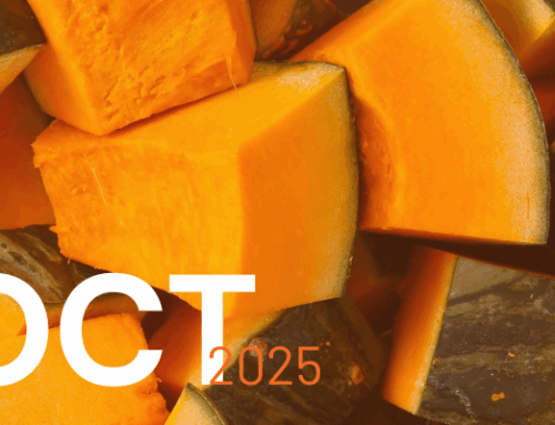 October 2025 Newsletter