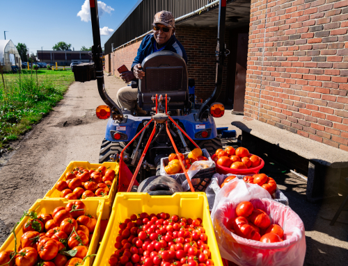 Op-Ed by Dr. Tim Boring, MDARD: New program boosts locally grown food