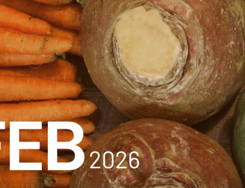 February 2026 Newsletter