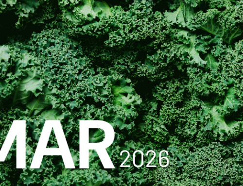 March 2026 Newsletter