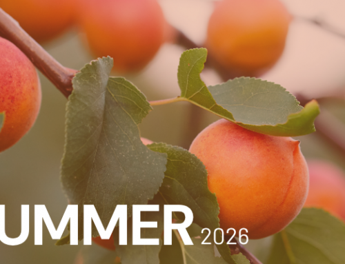 Summer 2026 Newsletter