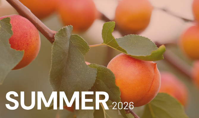Peaches growing on a tree branch. Text reads: Summer 2026