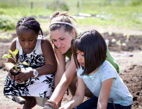 New Good Food guides to help strengthen MI ag community